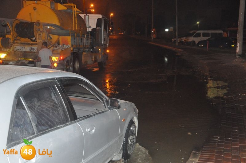 majary wa7a 1204 (16).JPG